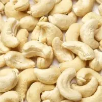 Cashew Nut