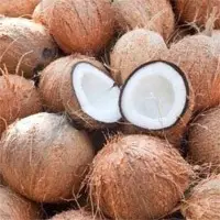 Fresh Coconuts