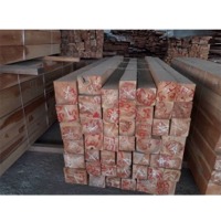 Teak Wood Logs