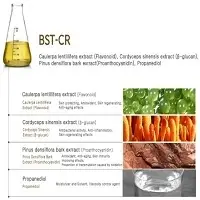 BST - CR Anti - Pollution Material