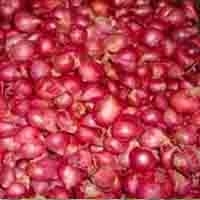 Small Onion