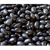 Black Beans