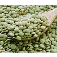 Lentils
