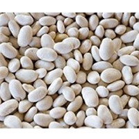 White Navy Beans