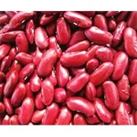 Dark Red Kidney Beans