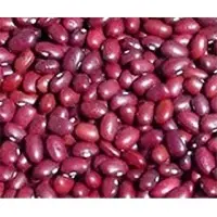 Small Red Beans