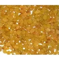 Golden Raisin