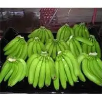 Fresh Cavendish Banana