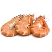 Frozen Prawns
