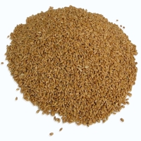 Soft Wheat
