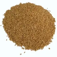Soft Wheat