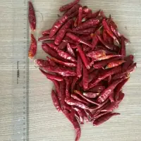 Dried Chili