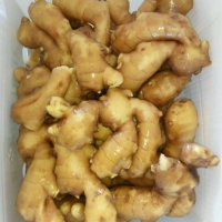 Ginger
