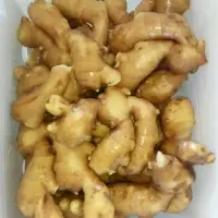 Ginger