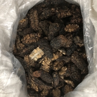 Dry Noni Fruit