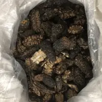 Dry Noni Fruit