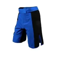 Boxing MMA Shorts