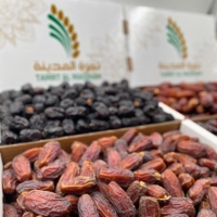Mabroom Dates 