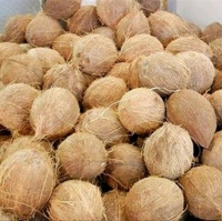 Semi Husked Coconut