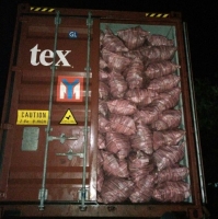 Pure Tamarind Charcoal