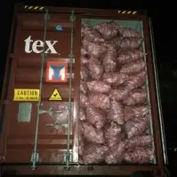 Pure Tamarind Charcoal