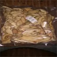 Eurycoma Longifolia (Tongkat Ali)