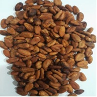 Kakao Beans