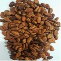 Kakao Beans