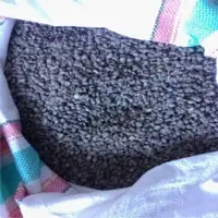 Coffee Green Beans