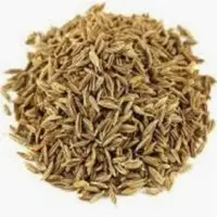 Cumin Seeds