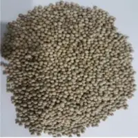 White Pepper