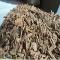 Cinnamon