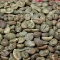 Coffee Green Beans