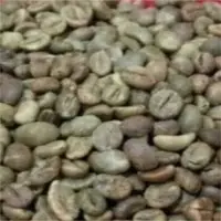 Coffee Green Beans