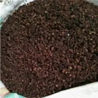 Clove