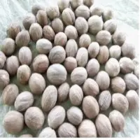 Nutmegs