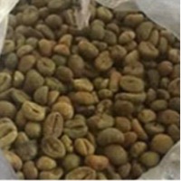 Coffee Green Beans