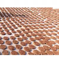 Cowdung Cake