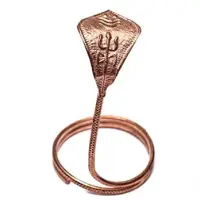 Snak for Shivling Brass