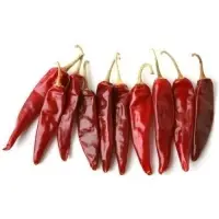 Red Chilli