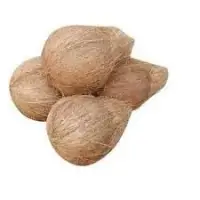 Coconut
