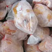 Halal Frozen Chickens