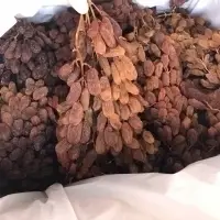 Dried Grapes Cluster - Thompson Gold Premium