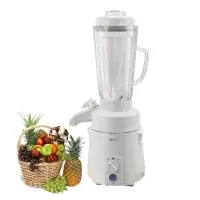 Commercial Juicer