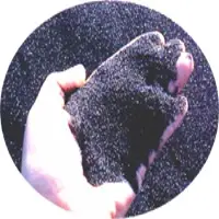 Chromite Ore