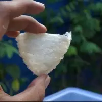 Bird's Nest From Indonesia