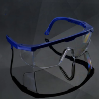 Protective Goggles