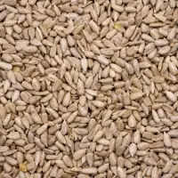 Sunflower Kernel