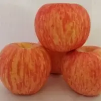 Quality Supplier Fresh Apple ,Gala Apples