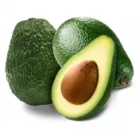 Quality Avocado For Wholesale Supply